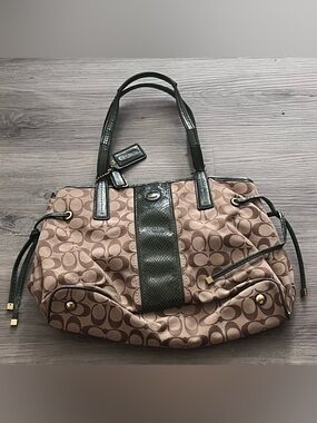 Coach F24882 Signature Python Print Stripe Tote